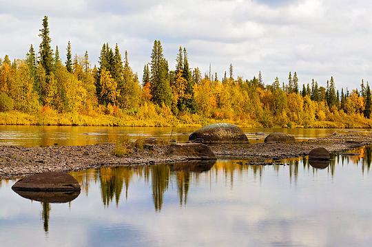 Наш лес., biostan1991, Звенигородская биостанция МГУ, Звенигородская биостанция МГУ д.12
