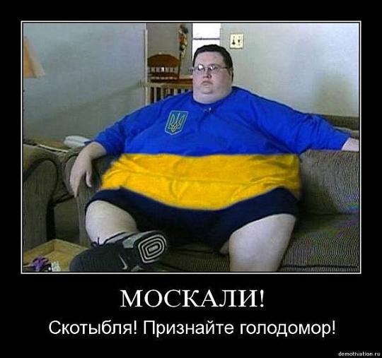 Я всегда голодал! И предки мои точно так же голодали на Украине в 30-х годах прошлого века))) Слава голодомору! , УНА УНСО ОУН смердячие псы собаки Гитлера, ac19411941, Одинцово