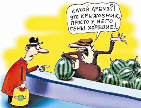 big, И СМЕХ И ГРЕХ !, nkolbasov, Одинцово, Ново-Спортивная д.6