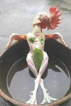 e, И СМЕХ И ГРЕХ !, nkolbasov, Одинцово, Ново-Спортивная д.6