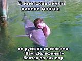 getImagelll