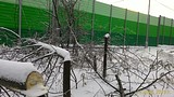 P 20161113 154608 1 p