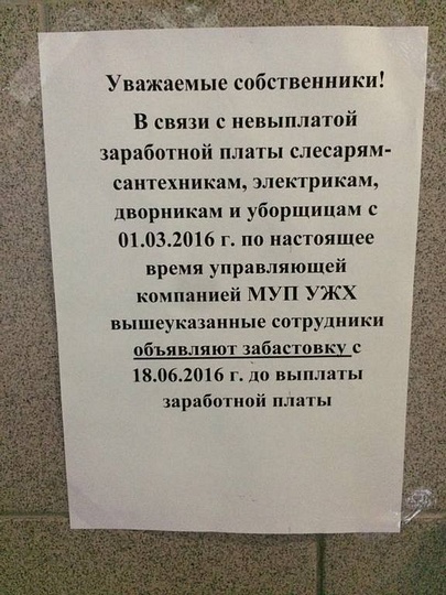 еще в июне на Белорусской, Irina.Grinchenko, Лесной городок