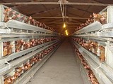 Минское шоссе с «жилыми микрорайонами»