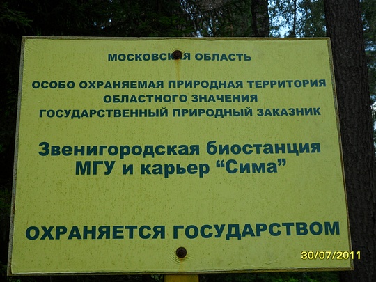 SAM 0106, Наш лес., biostan1991, Звенигородская биостанция МГУ, Звенигородская биостанция МГУ д.12