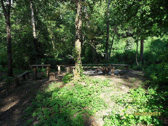 SAM 0110, Наш лес., biostan1991, Звенигородская биостанция МГУ, Звенигородская биостанция МГУ д.12