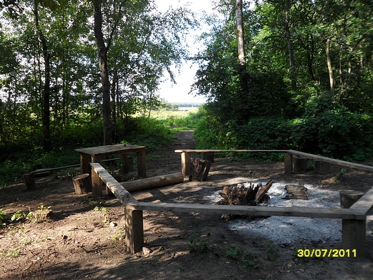 SAM 0111, Наш лес., biostan1991, Звенигородская биостанция МГУ, Звенигородская биостанция МГУ д.12