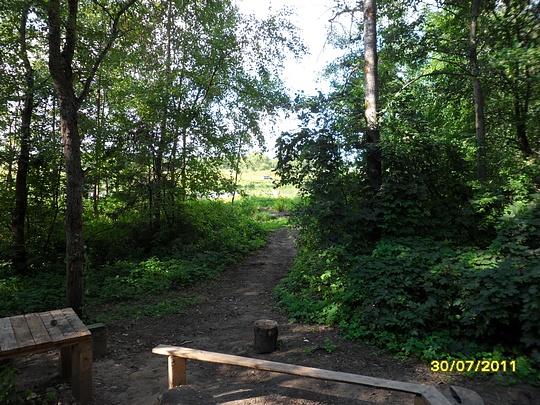 SAM 0112, Наш лес., biostan1991, Звенигородская биостанция МГУ, Звенигородская биостанция МГУ д.12