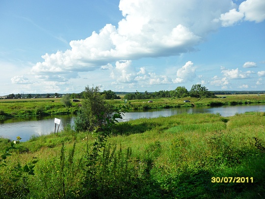 SAM 0113, Наш лес., biostan1991, Звенигородская биостанция МГУ, Звенигородская биостанция МГУ д.12