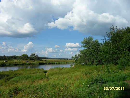 SAM 0114, Наш лес., biostan1991, Звенигородская биостанция МГУ, Звенигородская биостанция МГУ д.12