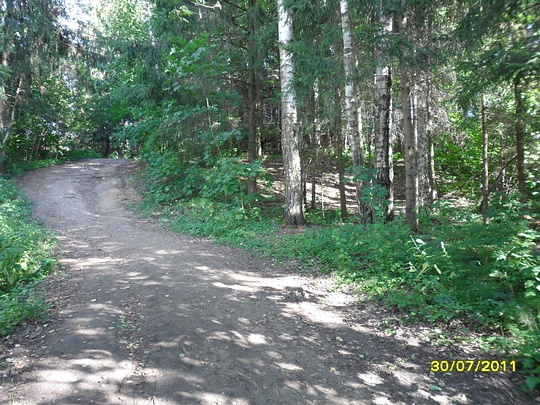 SAM 0117, Наш лес., biostan1991, Звенигородская биостанция МГУ, Звенигородская биостанция МГУ д.12