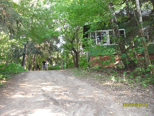 SAM 0118, Наш лес., biostan1991, Звенигородская биостанция МГУ, Звенигородская биостанция МГУ д.12