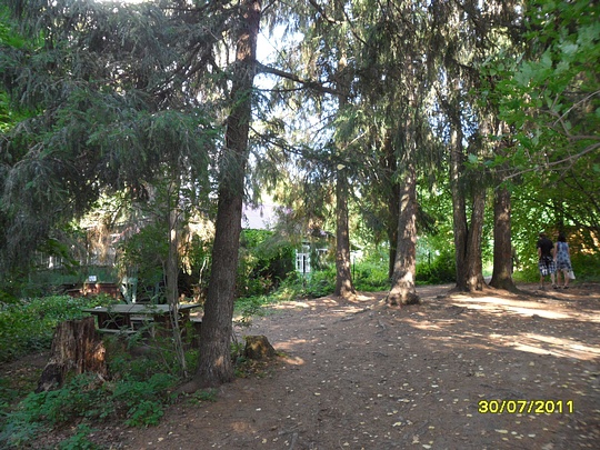 SAM 0119, Наш лес., biostan1991, Звенигородская биостанция МГУ, Звенигородская биостанция МГУ д.12