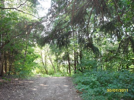 SAM 0120, Наш лес., biostan1991, Звенигородская биостанция МГУ, Звенигородская биостанция МГУ д.12