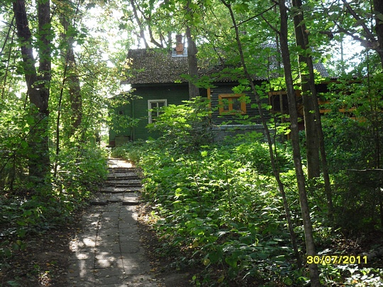 SAM 0123, Наш лес., biostan1991, Звенигородская биостанция МГУ, Звенигородская биостанция МГУ д.12