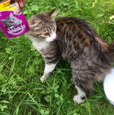 FullSizeRender 05 07 17 08 48 1 FullSizeRender 05 07 17 08 48 1