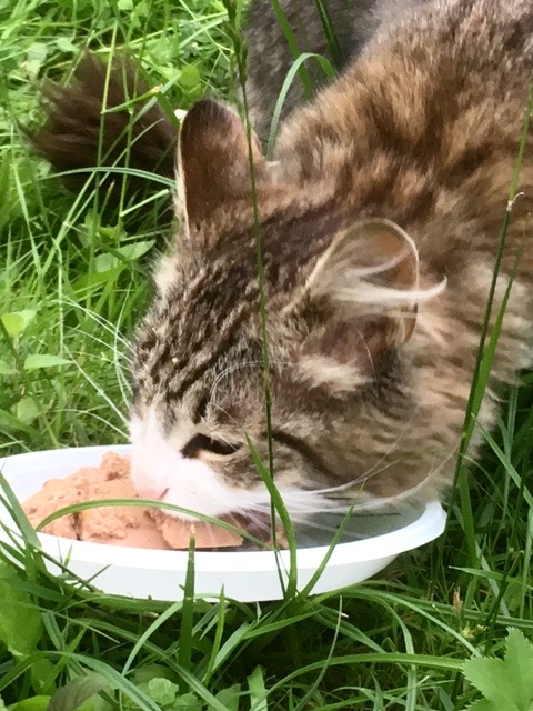 FullSizeRender 05 07 17 08 48 2 FullSizeRender 05 07 17 08 48 2