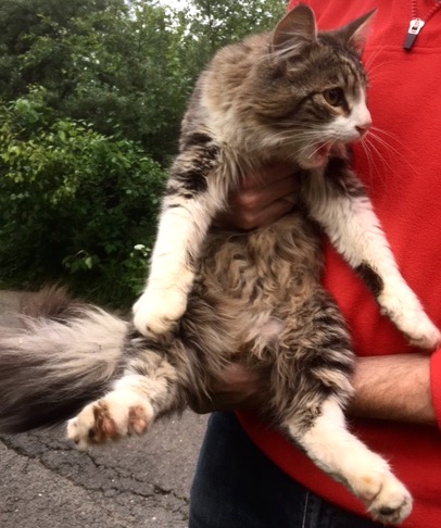 FullSizeRender 05 07 17 08 48 3 FullSizeRender 05 07 17 08 48 3