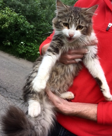 FullSizeRender 05 07 17 08 48 4 FullSizeRender 05 07 17 08 48 4