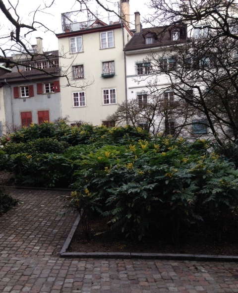 Тихий скверик в Цюрихе