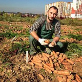 Директор ВНИИССОК Алексей Солдатенко