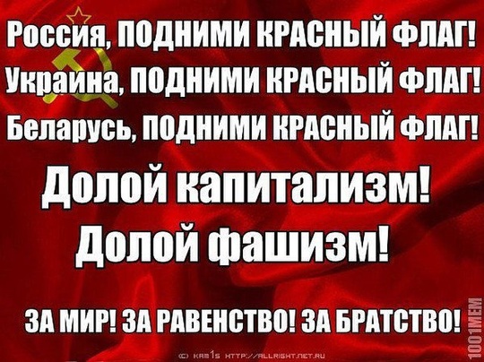 КОНСТИТУЦИЯ гарантирует?, nkolbasov, Одинцово, Ново-Спортивная д.6