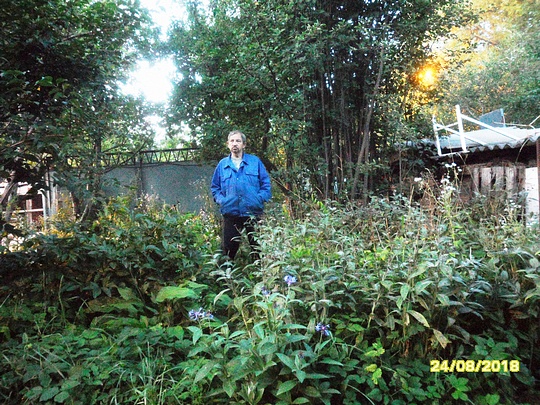 Стройки, дачи, гаражи, nkolbasov, Одинцово, Ново-Спортивная д.6