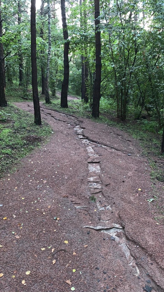 Барвиха, ant0ni0