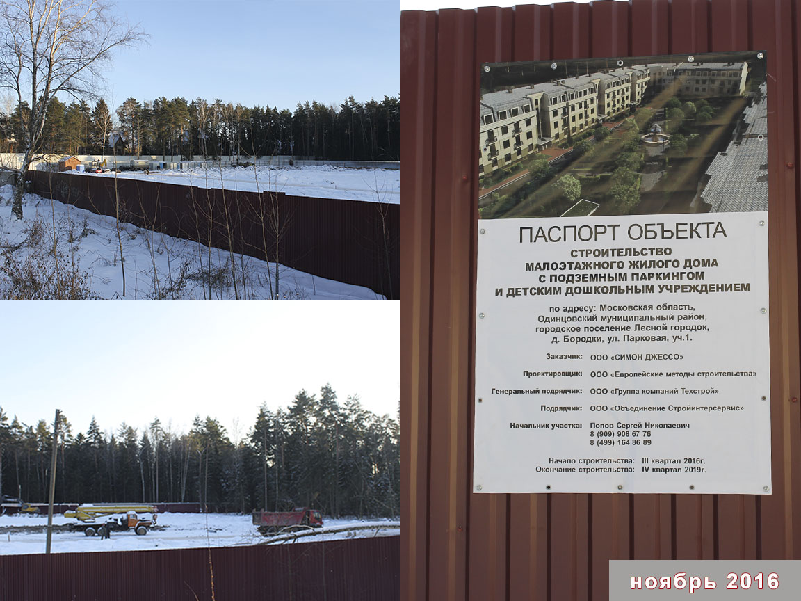 На участке вырублены все деревья, ноябрь 2016