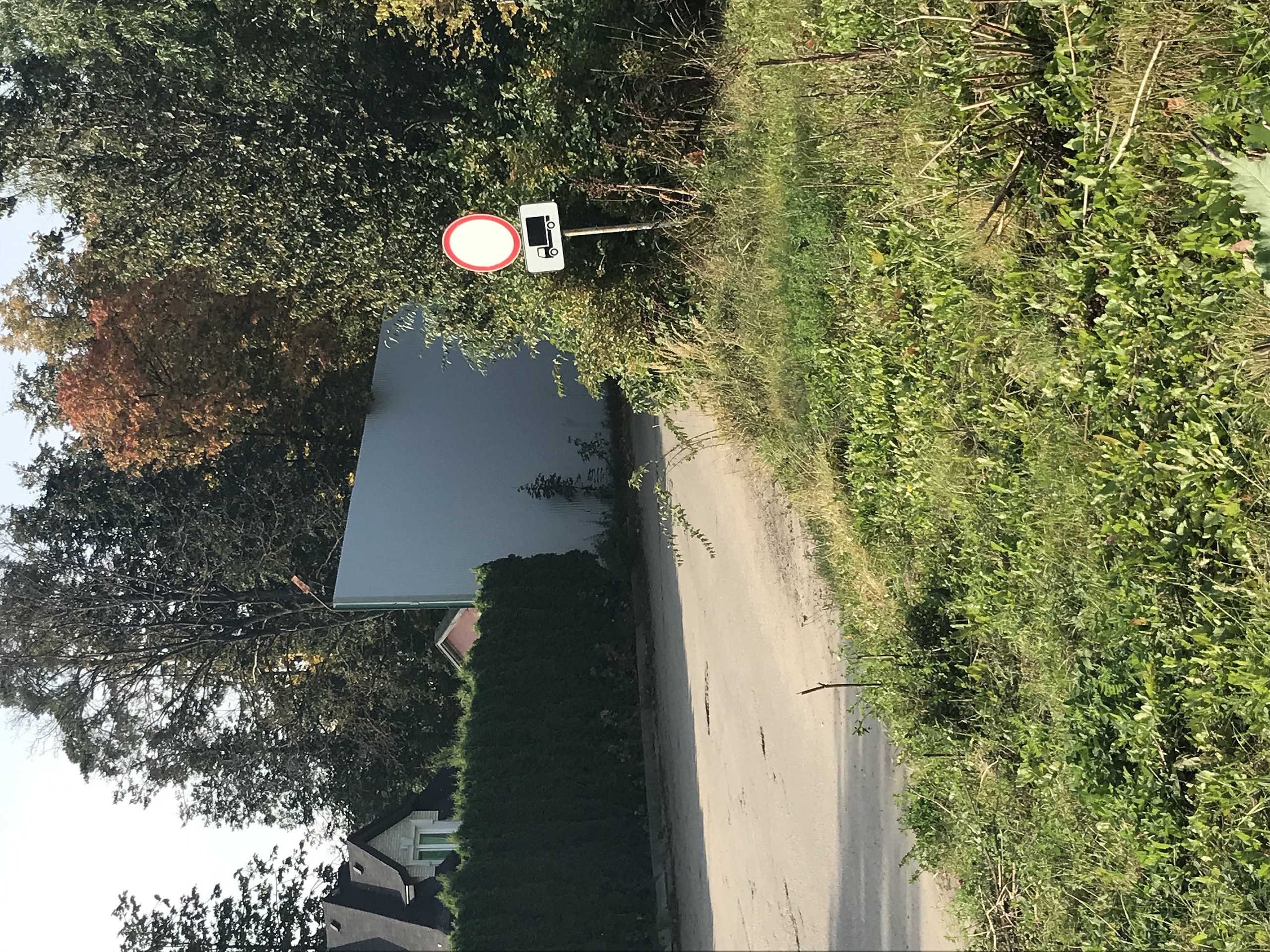 Знак 3.2 в сочетании с 8.4.1