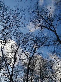 Небо