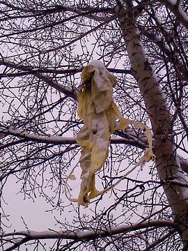 Разное., komandir, Одинцово