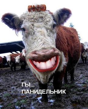 МАМА    ЗАРЯ, nkolbasov, Одинцово, Ново-Спортивная д.6