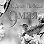 День победы  9 мая, nkolbasov, Одинцово, Ново-Спортивная д.6