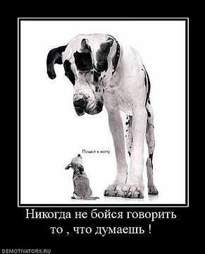 КОНСТИТУЦИЯ гарантирует?, nkolbasov, Одинцово, Ново-Спортивная д.6