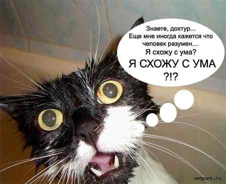 Кризис капитализма., nkolbasov, Одинцово, Ново-Спортивная д.6